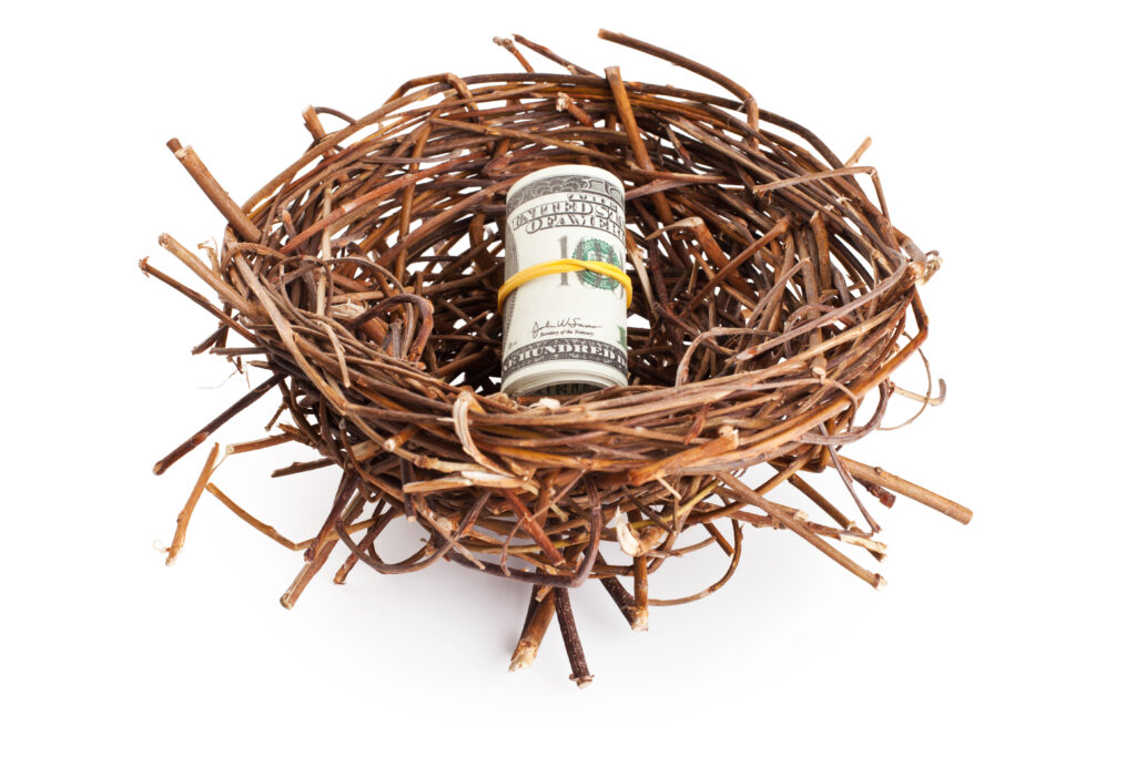 A nest made of brown twigs holds a rolled bundle of hundred-dollar bills secured with a yellow band, symbolizing savings or financial security.